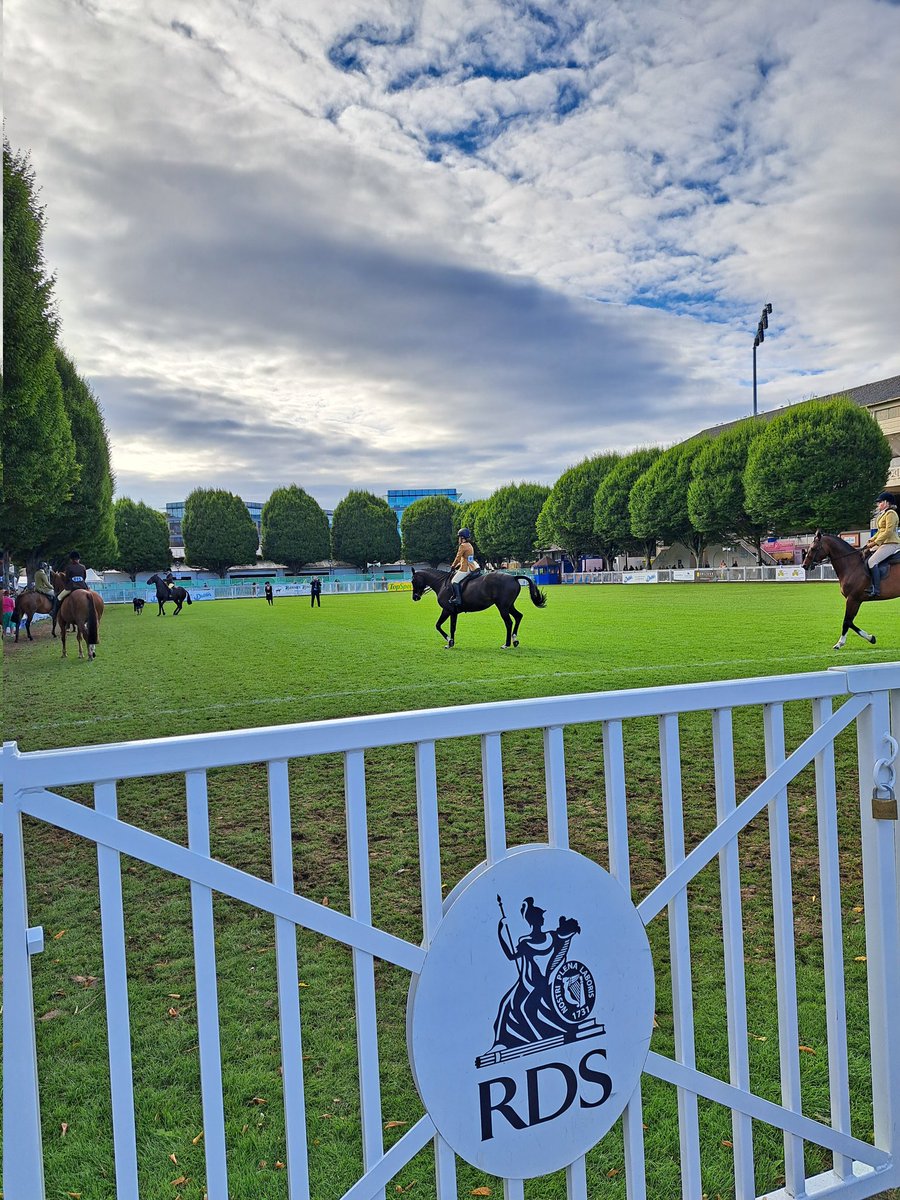 DublinHorseShow's tweet photo. Last day of the 2023 #DublinHorseShow!
Don't miss out on the invitation of the summer https://t.co/dMHhDpukKJ
#23DHS https://t.co/BlKoAUPbGJ