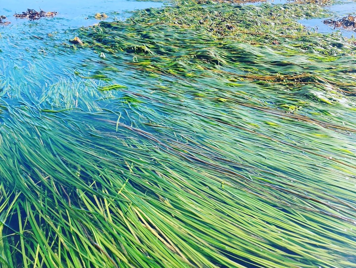 Ella McSweeney tweet media