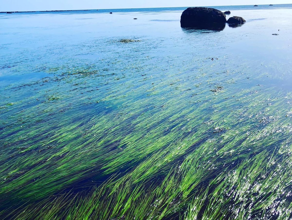 Ella McSweeney tweet media