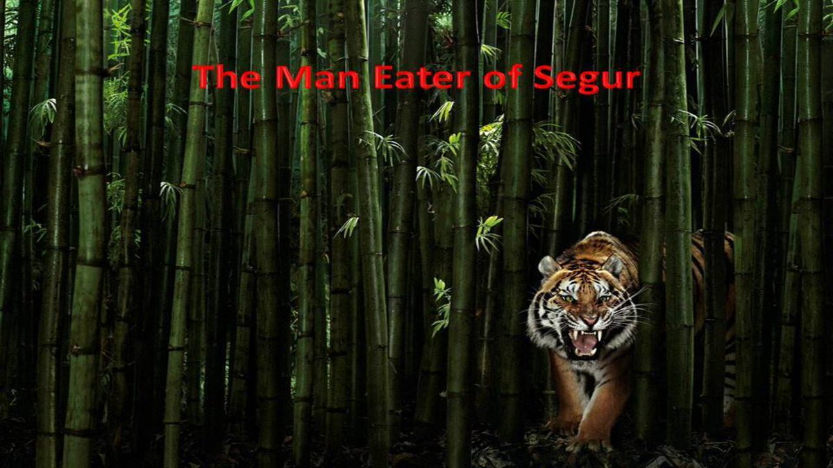 The Man Eater of Segur | Kenneth Anderson
youtu.be/AtGKcNzL7SI
#wildlife #wildlifestories #maneater #tiger