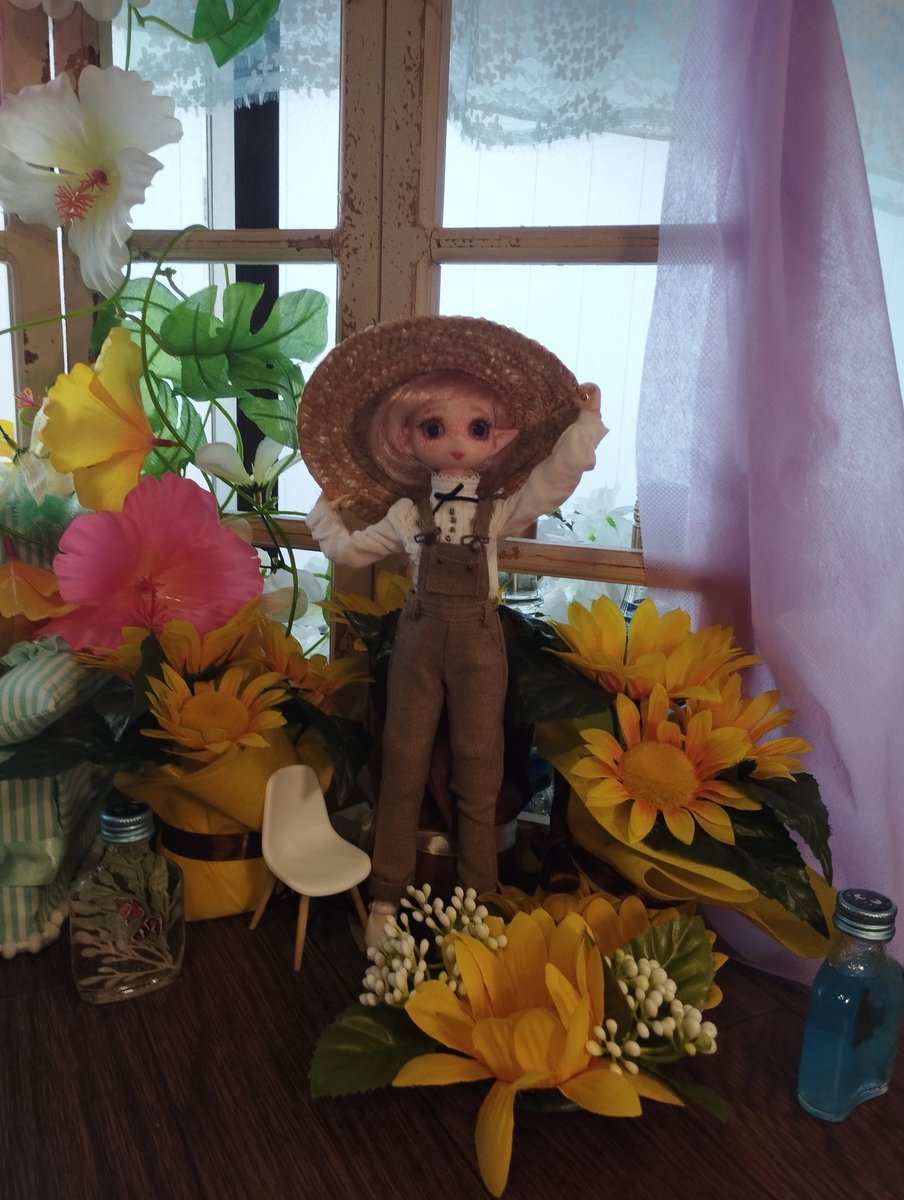 Mweeshroom's tweet photo. #TSsPhoto #DollCafeTwinkleStars

I forgot to post the photos I took https://t.co/qn13Ff11MJ