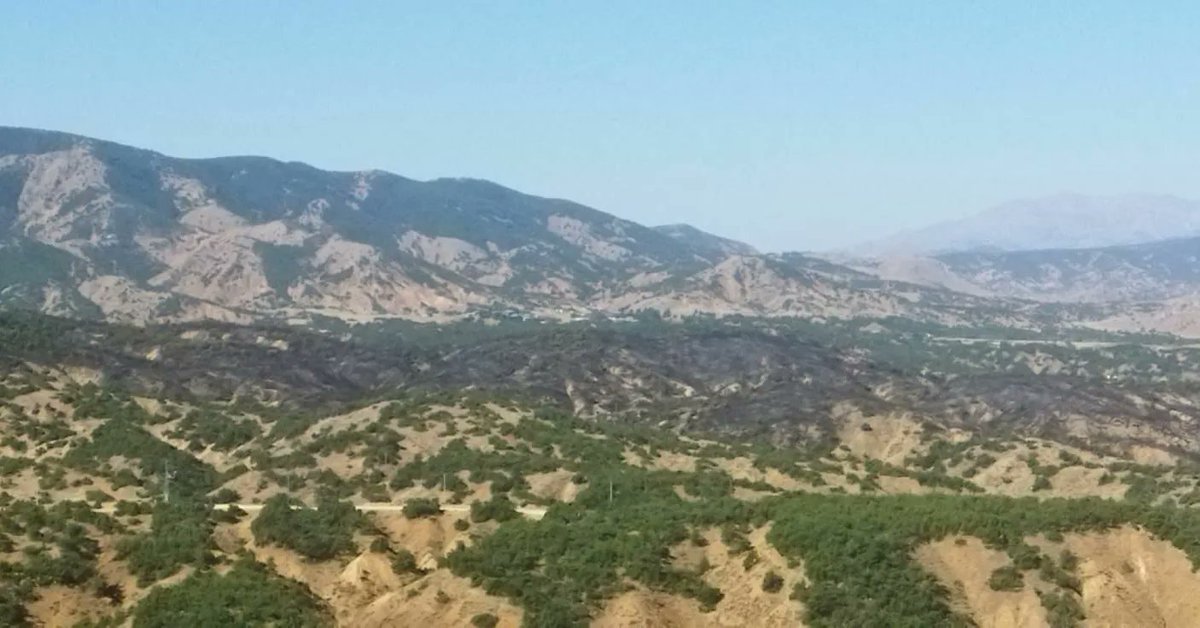 gencinsesi1's tweet photo. Doğanca orman yangını kontrol altına alındı

Genç ilçesi Doğanca Köyünde çıkan orman yangını havadan ve karadan müdahale sonucu gece saat 23:55'te kontrol altına alındı. Ekiplerin soğutma çalışmasına devam ettiği öğrenildi. 

Alınan bilgiye göre, dün saat 15:00 sıralarında Doğanca Köyü Eskiköy mezrasında henüz belirlenemeyen bir nedenle yangin çıktı. Yangını görenlerin ihbarı üzerine bölgeye 
5 arazöz 4 iş makinası 1 helikopter 2 ilk müdahale aracı 3 itfaiye aracı sevk edilirken söndürme çalışmalarına  orman işletme müdürlüğü personelleri, belediye itfaiye personelleri, vatandaşlar, sivil toplum kuruluşu üyeleri ve jandarma personelleri katıldı. Yaşanan orman yangınında Bingöl Orman İşletme Müdürü İbrahim Börü, yangının ilk anından itibaren gece saatlerine kadar ekiplerin başında sevk ve idareyi sağladı. 

Yangın gece saa 23:55'te kontrol altına alınırken soğutma çalışmalarının devam ettiği öğrenildi.