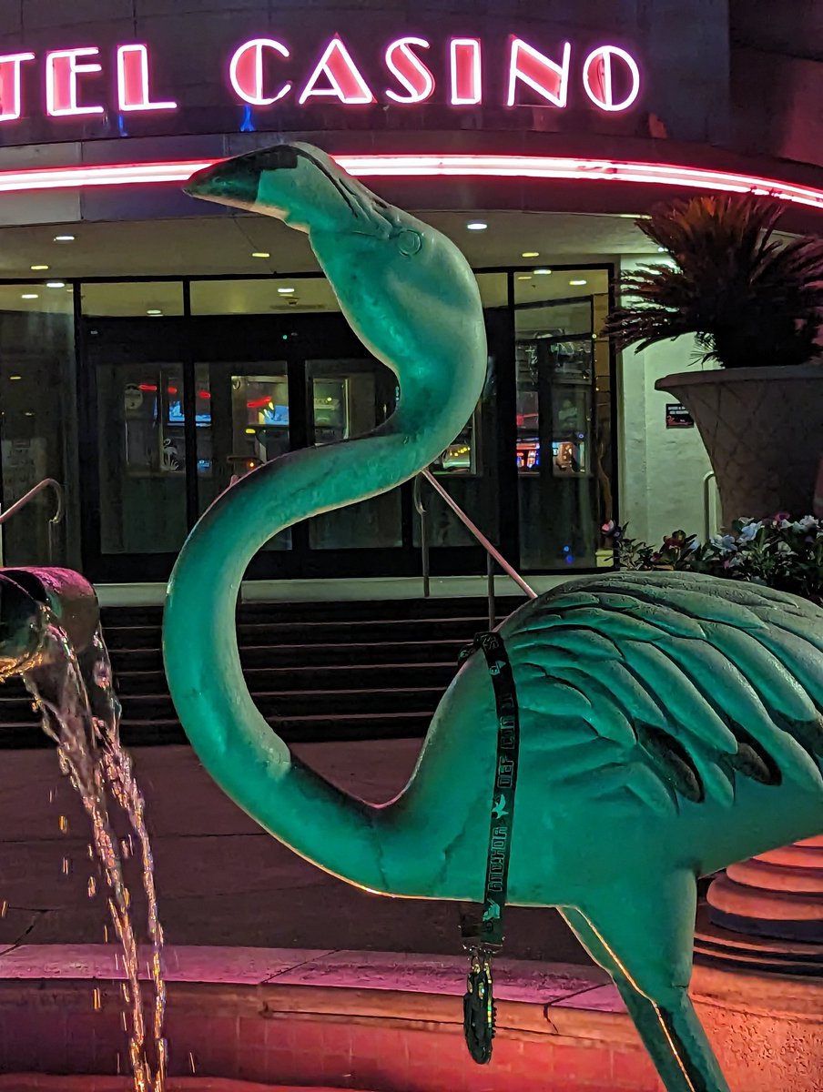 &!^ (@andnxor) on Twitter photo 