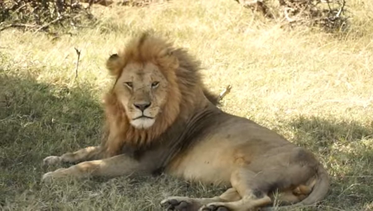 (HILO) 1. Semanas dibujando un arranque soñado, dándole vueltas y vueltas a si todo lo bueno que habíamos hablado del #RealZaragoza se traduciría ante el Villarreal. Y como dice Sabina, nos sobran los motivos para creer. ¿Me acompañas con un RT?

👉twitch.tv/fcastarlenas