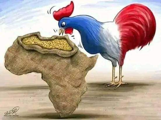 ali_naka's tweet photo. “EFF will turn South Africa into another Zimbabwe, Russia’s Economy will collapse, We want Democracy in Niger” We see you!!! https://t.co/n0zeKgJVH1