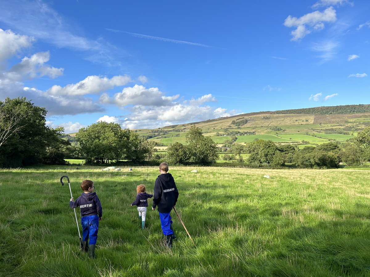 The next generation of shepherd’s in training… 🐑🐑🐑🐑🐑🐑🐑🐑🐑🐑🐑🐑🐑🐑🐑🐑🐑🐑🐑🐑🐑🐑🐑🐑🐑🐑🐑🐑🐑🐑🐑🐑

#Shepherd #DogAndStickFarming #HillShepherd #NextGenerationFarmers #TenantFarmer #FarmingFamily #NativeSheep #Flock #PeakDistrictFarmers #StaffordshireMoorlands