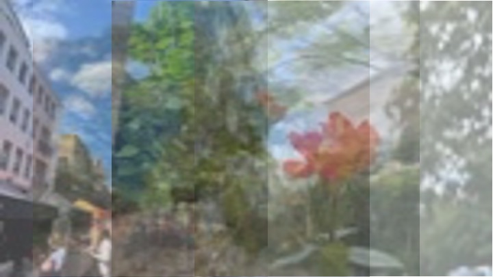 hallamakarem's tweet photo. a unified image from four individual daily photos 
a creative expression of my past four days in one frame 

playfulness. imagination. perception.

🌹🌹🌹 https://t.co/zsdcvMKTrg
