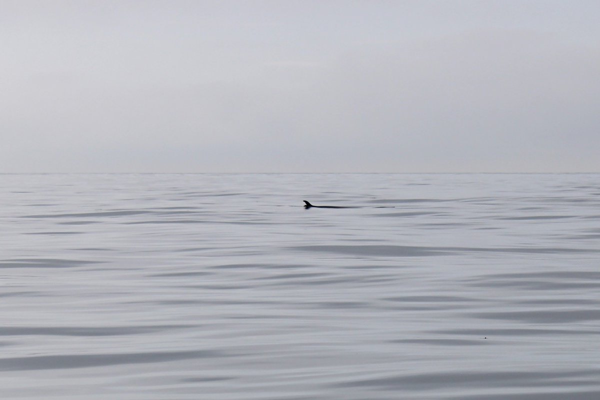 Jen Heard tweet media