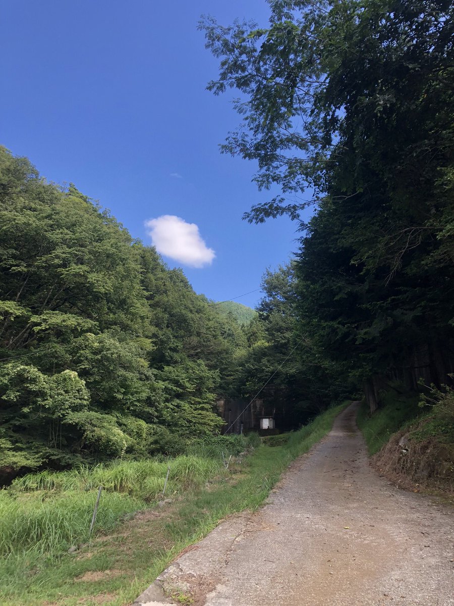 ssd9912's tweet photo. 今年も16日間のキャンプイベントの撮影明日で終わります。
後一泊子供達のいい笑顔を残します。 https://t.co/F3XyiydkM4