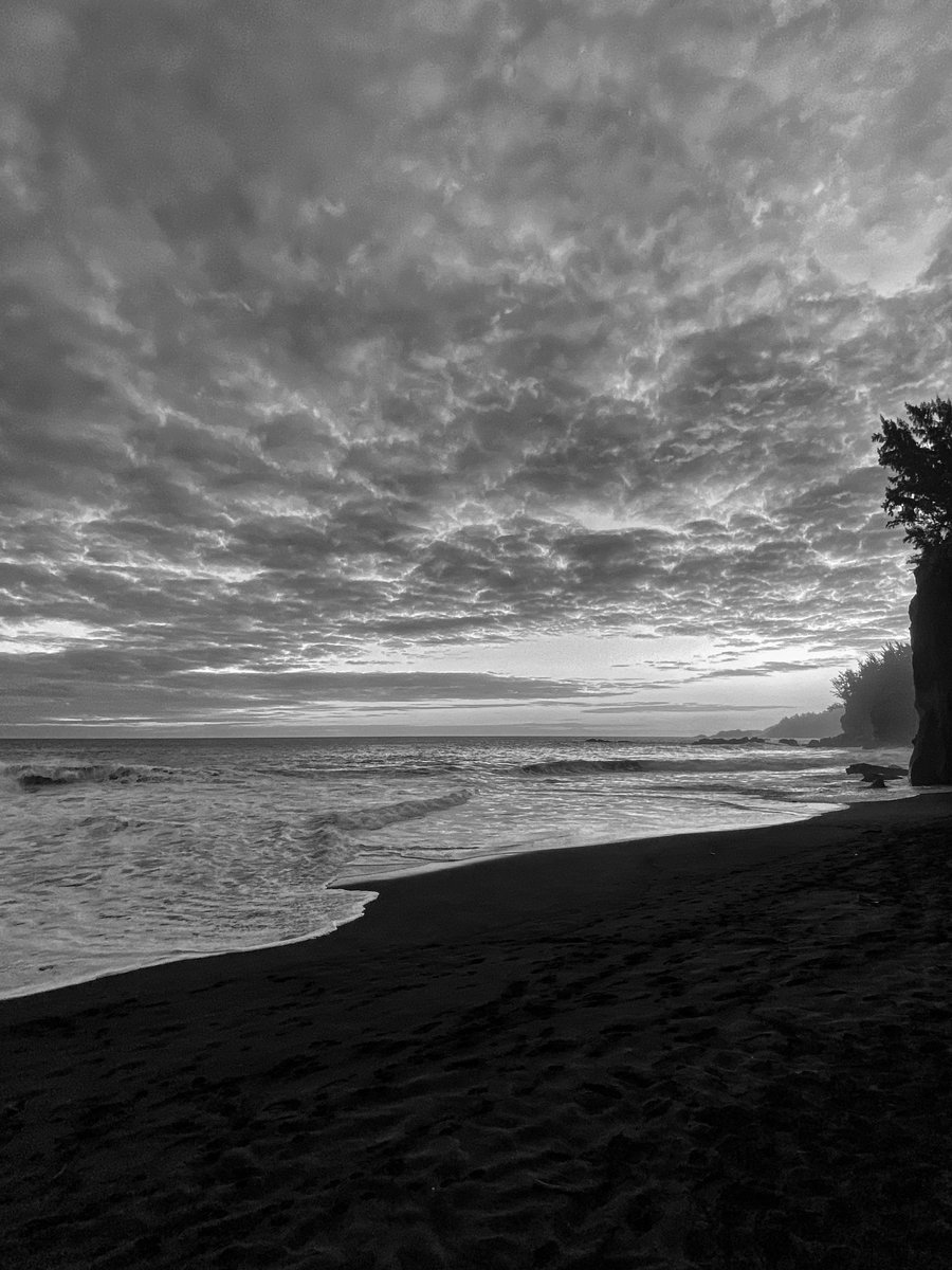 Jean-Guy Nakars Photographe tweet media