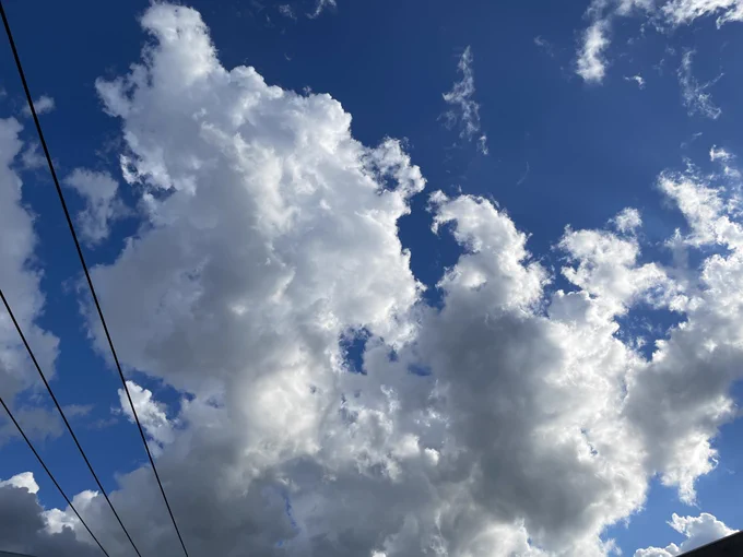 さっきまで青空だったのに急に雨きたなぁ。