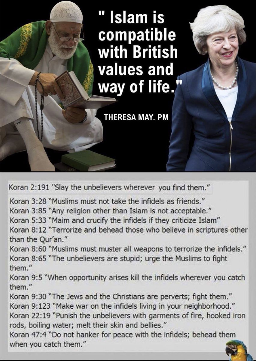 Bob stroud tweet media