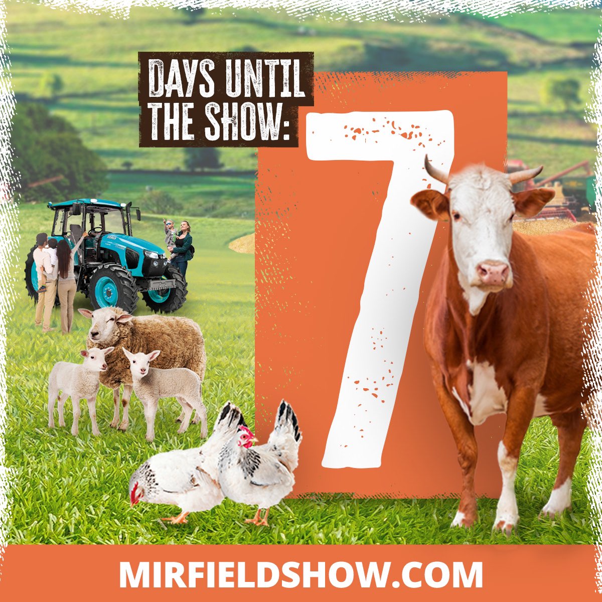Mirfield Show tweet media