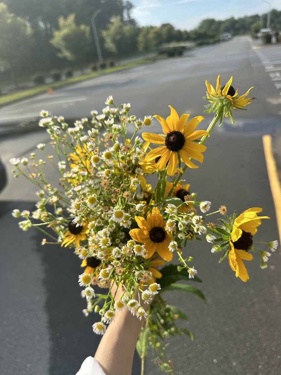 AkbarArwa's tweet photo. Sunshine 🌞 and wild flowers 🌻 https://t.co/VaXn1Fe7nA