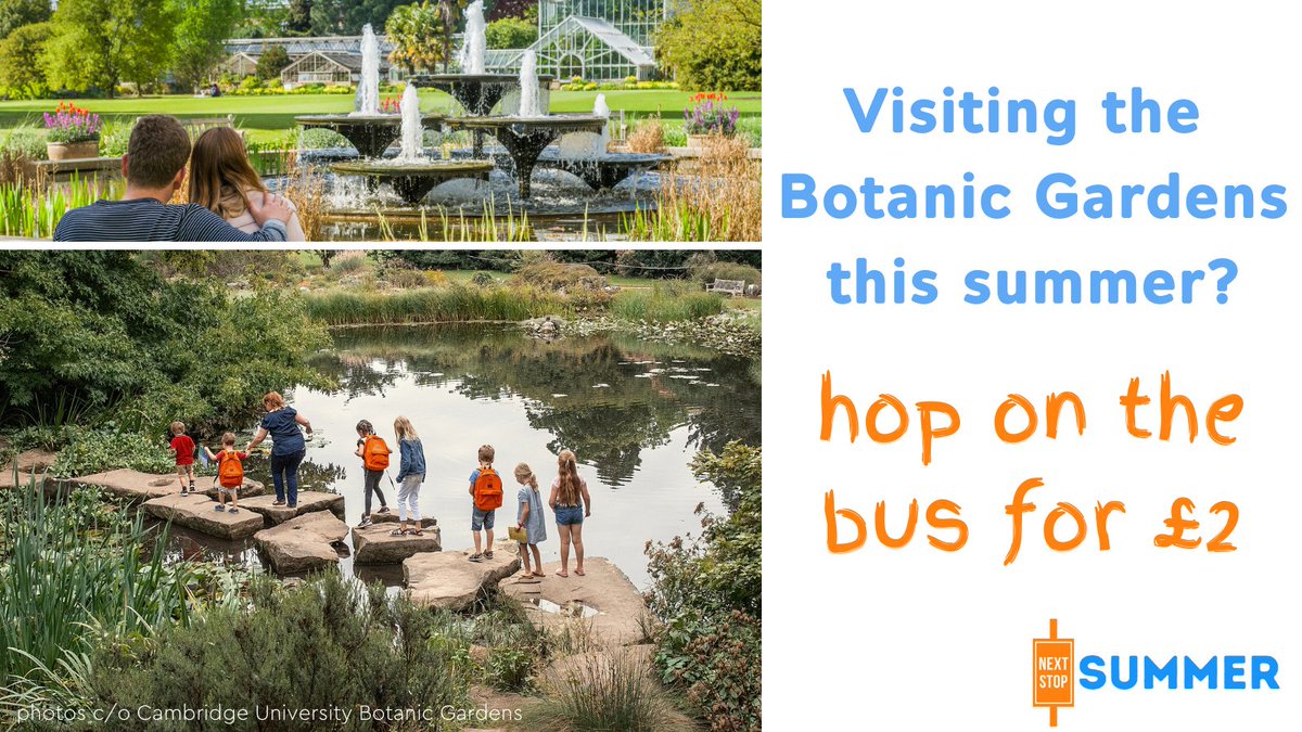 CambsPboroCA's tweet photo. One of our favourite places to relax this summer is @CUBotanicGarden, and it's super simple to get there by bus! Hop on the bus for £2 and enjoy a peaceful pitstop in the centre of Cambridge. 

#NextStopSummer #busesforlife https://t.co/sAUPQckYp6