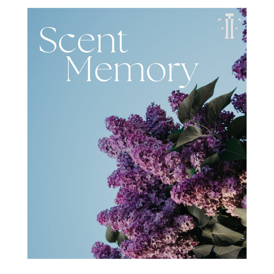 FragranceFDN_UK's tweet image. A whiff of summer aromas captured by a treasured #scentmemory by Helena Kalopuschi.🫧 🌸 

#perfume #fragrancelover #quotes #sotd #sotn #elderflower #beauty #flowers #scent #memory #sotd #sotn #sundayquotes