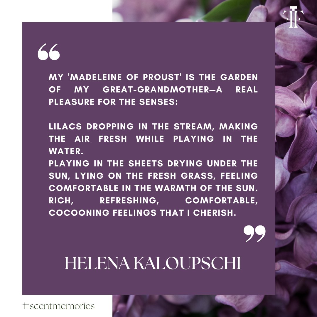 FragranceFDN_UK's tweet image. A whiff of summer aromas captured by a treasured #scentmemory by Helena Kalopuschi.🫧 🌸 

#perfume #fragrancelover #quotes #sotd #sotn #elderflower #beauty #flowers #scent #memory #sotd #sotn #sundayquotes