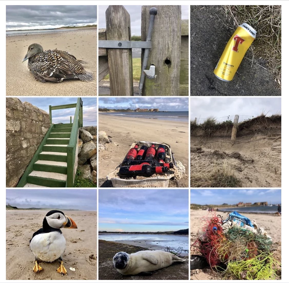 More about @CoastalCustodia #yearofthecoast @england_coast 
coastalcustodian.co.uk/post/environme…