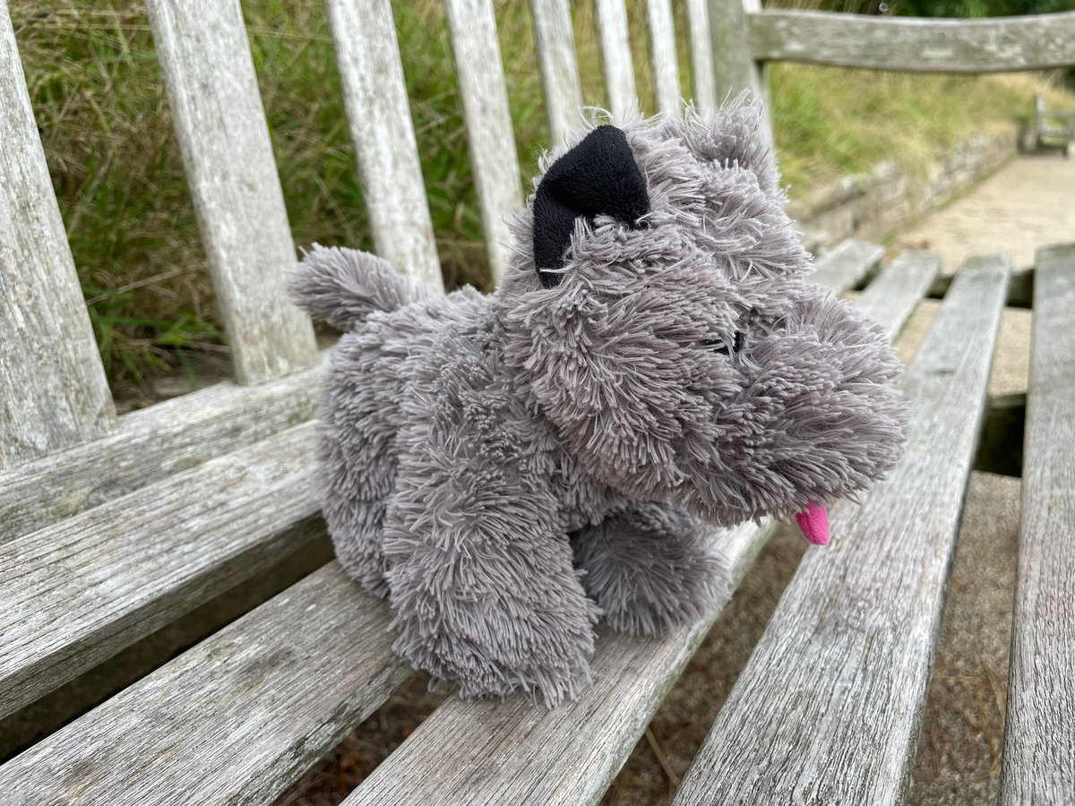 Julia Snowdin tweet media