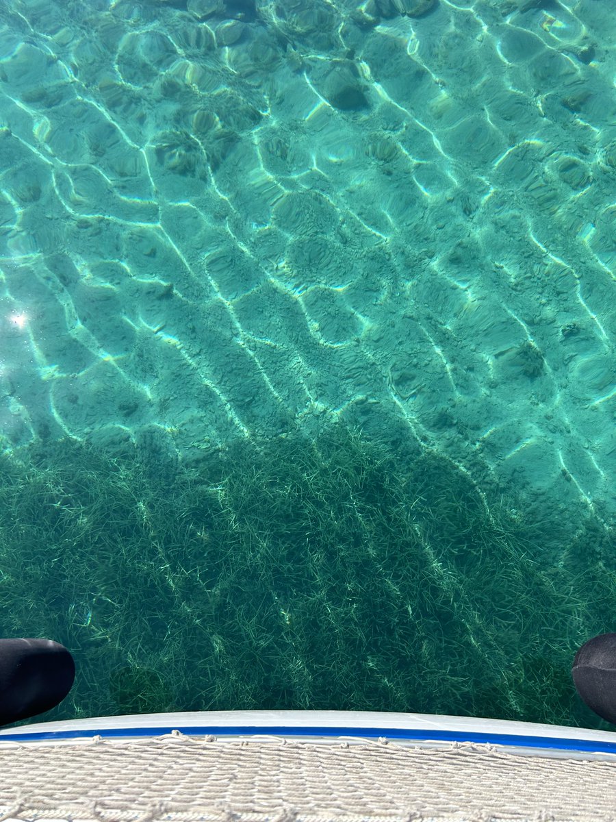 ItsMiaG's tweet photo. ⛵️ https://t.co/GOXK1PLCQA