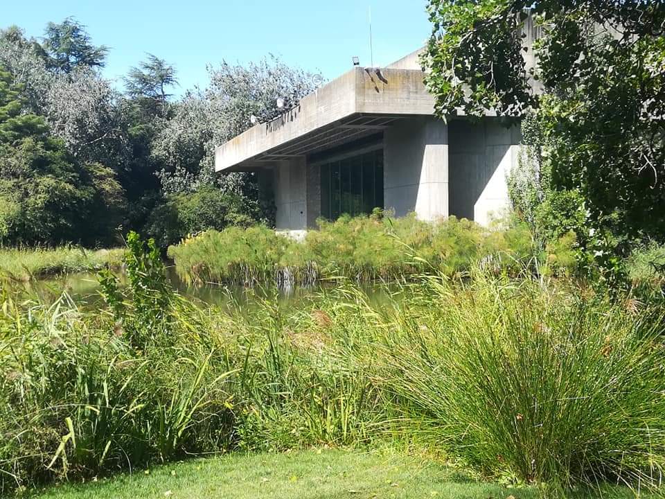 skymanuelima's tweet image. Um dos mais bem conseguidos jardins no centro de Lisboa. Fundação Calouste Gulbenkian. Lisboa 🇵🇹 #Jardim #Fundacao #CalousteGulbenkian #museu #arte #visitLisboa #travelphotography #viagens #FotógrafoAmador
