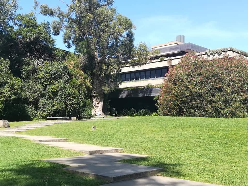 skymanuelima's tweet image. Um dos mais bem conseguidos jardins no centro de Lisboa. Fundação Calouste Gulbenkian. Lisboa 🇵🇹 #Jardim #Fundacao #CalousteGulbenkian #museu #arte #visitLisboa #travelphotography #viagens #FotógrafoAmador