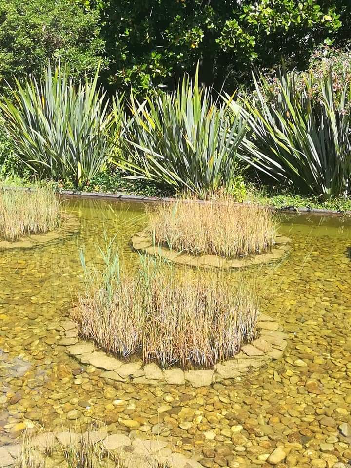 skymanuelima's tweet image. Um dos mais bem conseguidos jardins no centro de Lisboa. Fundação Calouste Gulbenkian. Lisboa 🇵🇹 #Jardim #Fundacao #CalousteGulbenkian #museu #arte #visitLisboa #travelphotography #viagens #FotógrafoAmador