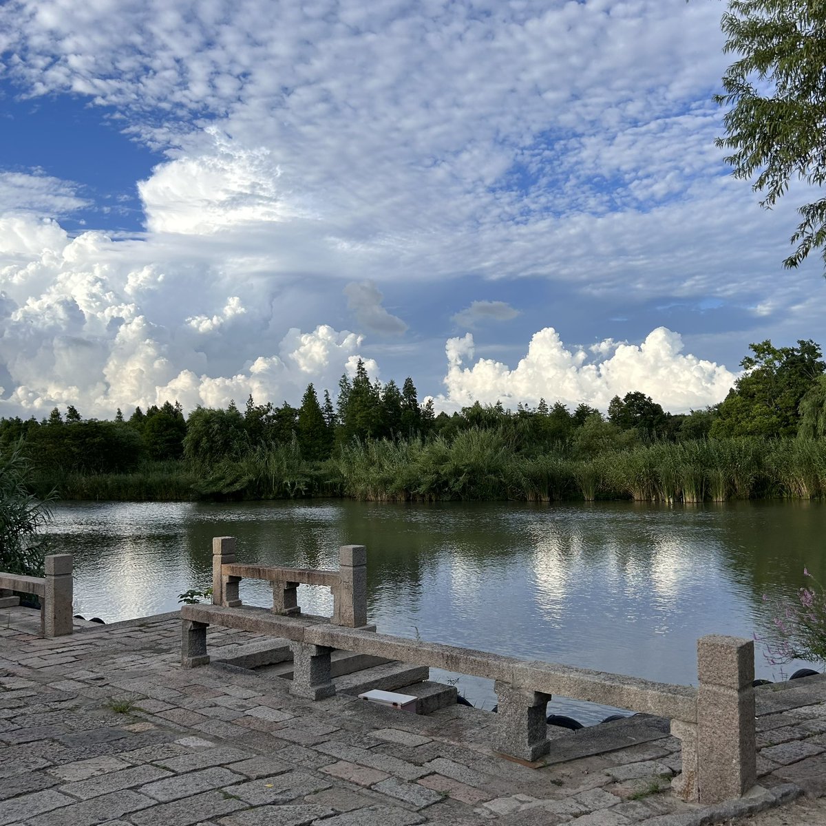 bs2996727's tweet photo. photo📷

#photo #sky https://t.co/vZAj6PhgBB
