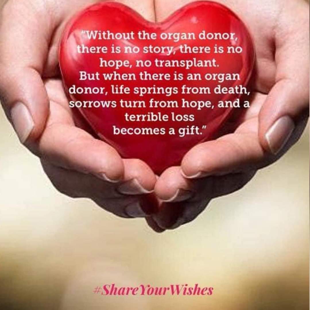 Today is #WorldOrganDonationDay. We honour & thank #OrganDonors everywhere. Without #LivingDonors, #donors and courageous #DonorFamilies agreeing, lives would not and will not be saved, so to all donors we thank you for your strength... 1/4