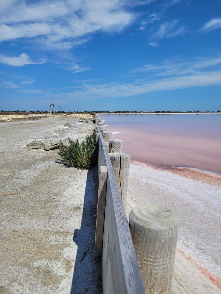 lenourok's tweet photo. Bon dimanche 🌿
Avec quelques photos des Salins de Aigues-Mortes 🧂🐋🩷
#Travel
#travelphotography
#travelblogger
#AiguesMortes
#Salins
#PinkWater
#France
#Camargue
#Gard
#Occitanie
#photography
#photooftheday
#NatureBeauty
#NaturePhotograhpy https://t.co/X8Zk9bqjqd