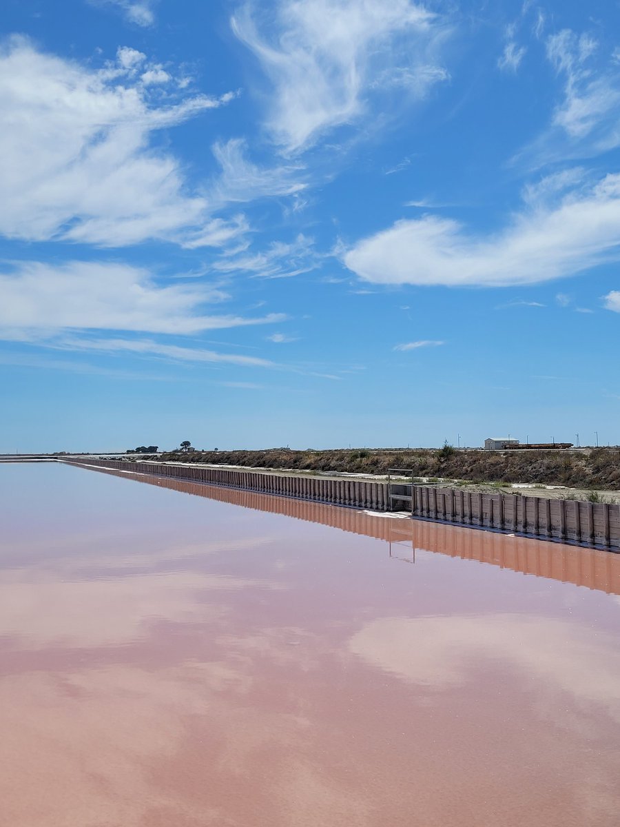 lenourok's tweet photo. Bon dimanche 🌿
Avec quelques photos des Salins de Aigues-Mortes 🧂🐋🩷
#Travel
#travelphotography
#travelblogger
#AiguesMortes
#Salins
#PinkWater
#France
#Camargue
#Gard
#Occitanie
#photography
#photooftheday
#NatureBeauty
#NaturePhotograhpy https://t.co/X8Zk9bqjqd