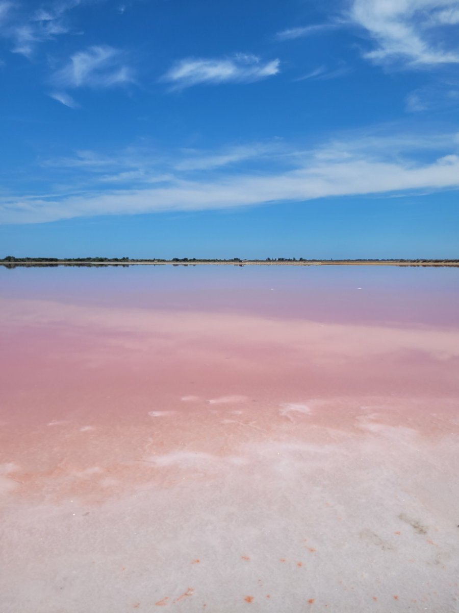 lenourok's tweet photo. Bon dimanche 🌿
Avec quelques photos des Salins de Aigues-Mortes 🧂🐋🩷
#Travel
#travelphotography
#travelblogger
#AiguesMortes
#Salins
#PinkWater
#France
#Camargue
#Gard
#Occitanie
#photography
#photooftheday
#NatureBeauty
#NaturePhotograhpy https://t.co/X8Zk9bqjqd