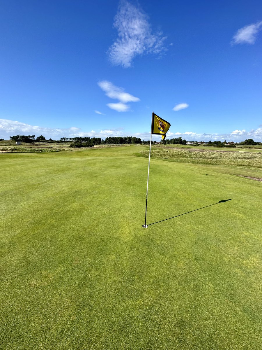 Mike Harris tweet media