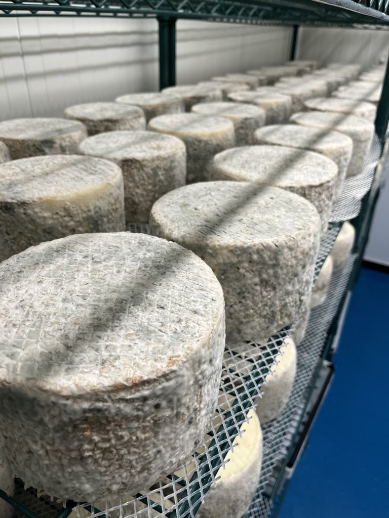 Mario Olianas tweet media