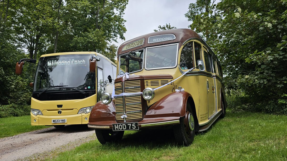 Mervyn's Coaches (@mervynscoaches) on Twitter photo Make your special day even more memorable with our vintage and modern coach hire services!
mervynscoaches.com
📧 office@mervynscoaches.com
☎️ 01962 774574
#winchester #basingstoke #andover #hampshire #coach #bus #vintage Make your special day even more memorable with our vintage and modern coach hire services!
mervynscoaches.com
📧 office@mervynscoaches.com
☎️ 01962 774574
#winchester #basingstoke #andover #hampshire #coach #bus #vintage