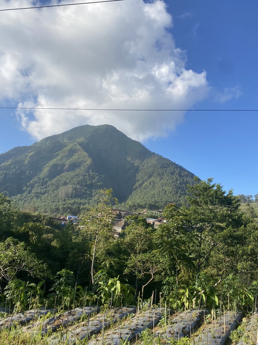 affan_m's tweet photo. Di kene sejuk temen, ngopi bawa sendiri, seger tenan, sambil nyawang pemandangan dan kahanan sing apik dan jauh dari kebisingan hiruk pikuk tak berkesudahan di sekitar kita https://t.co/04cvtOFAhK