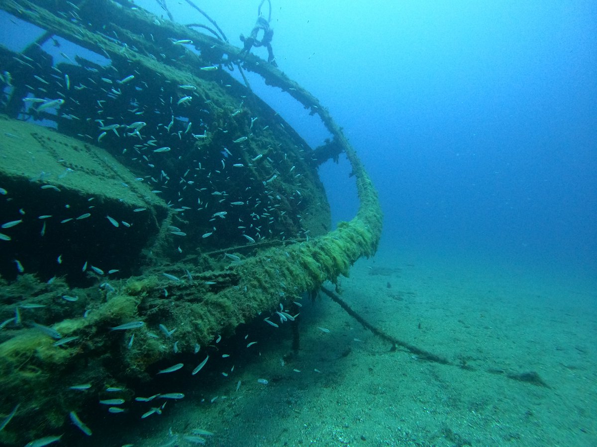 LanzaroteDiveCentre tweet media
