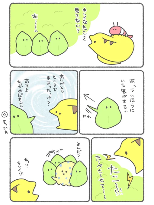 ウツボとえびのたこ探し(2/2)