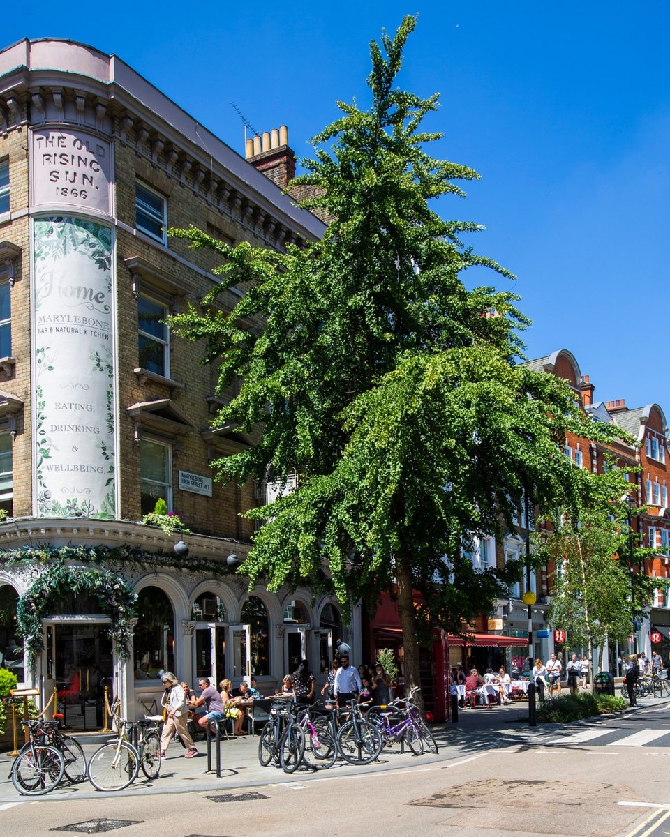 Spending the morning exploring Marylebone Village. Have you visited before? [📸 @marylebonevillage] #LetsDoLondon #VisitLondon ow.ly/aZV550PxtJ6