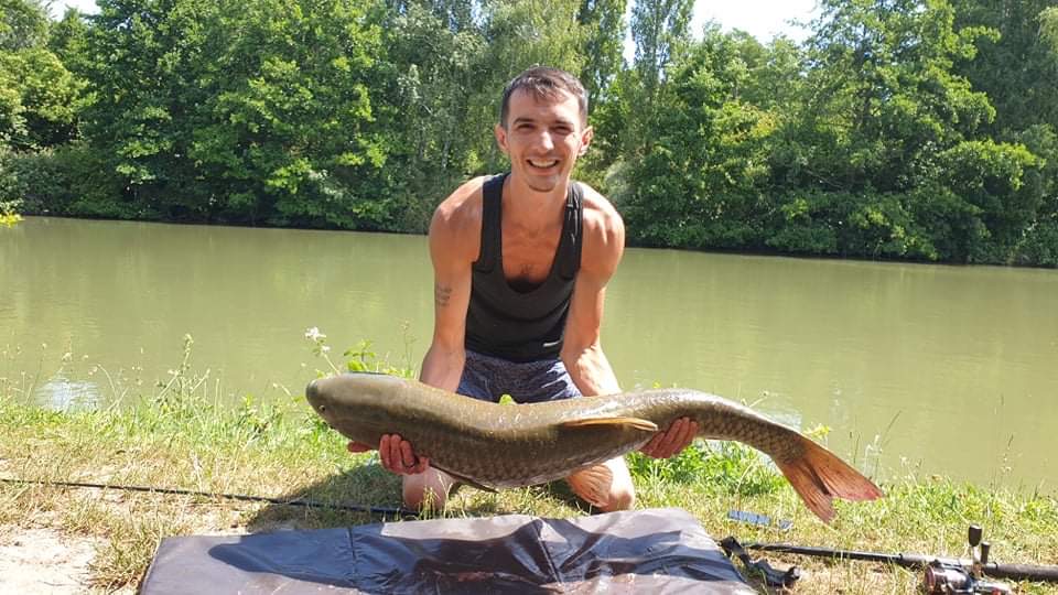 What a beauty! It took over 15Minutes to take it out! 

#carpfishing #carplife #carptrip #carpcatch #feeder