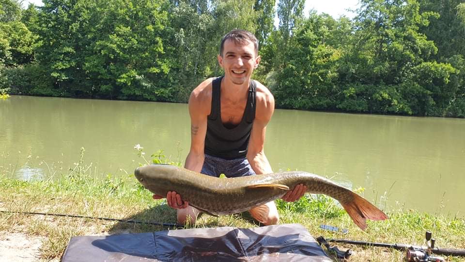 wewillfish's tweet photo. What a beauty! It took over 15Minutes to take it out! 

#carpfishing #carplife #carptrip #carpcatch #feeder https://t.co/AmAMN78gAt