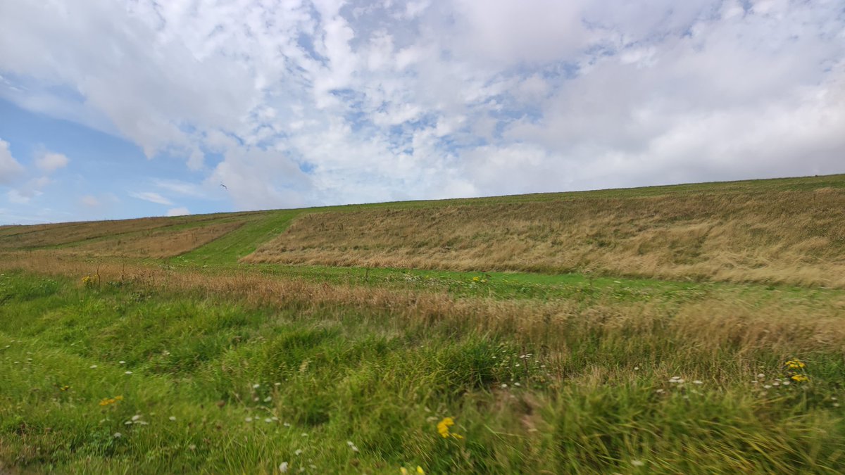 PvdAHHNK's tweet photo. Mooi voorbeeld van #sinusmaaien op de dijk van de Hondsbosscheweg in Schoorl https://t.co/QpVOVBSUcu