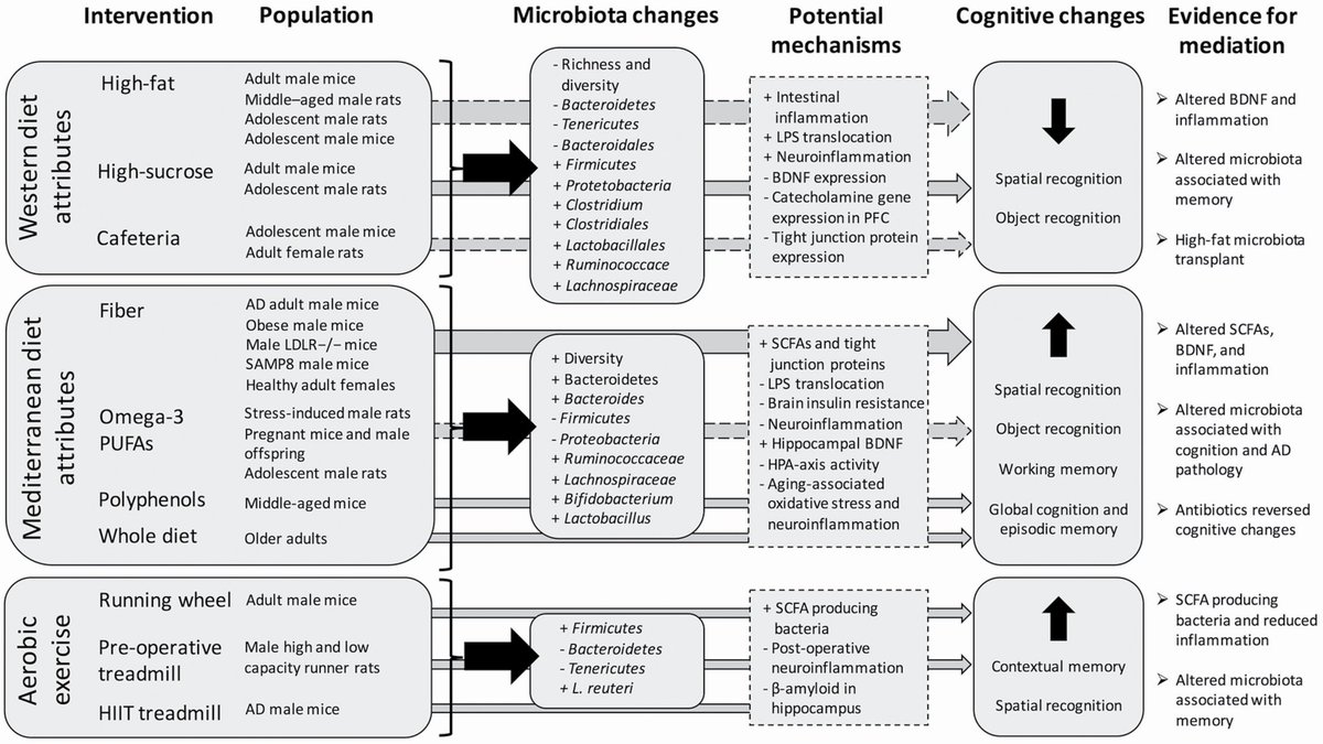 The Role of the Gut Microbiome in Diet and Exercise Effects on Cognition: A Review of the Intervention Literature…
academic.oup.com/biomedgerontol…
