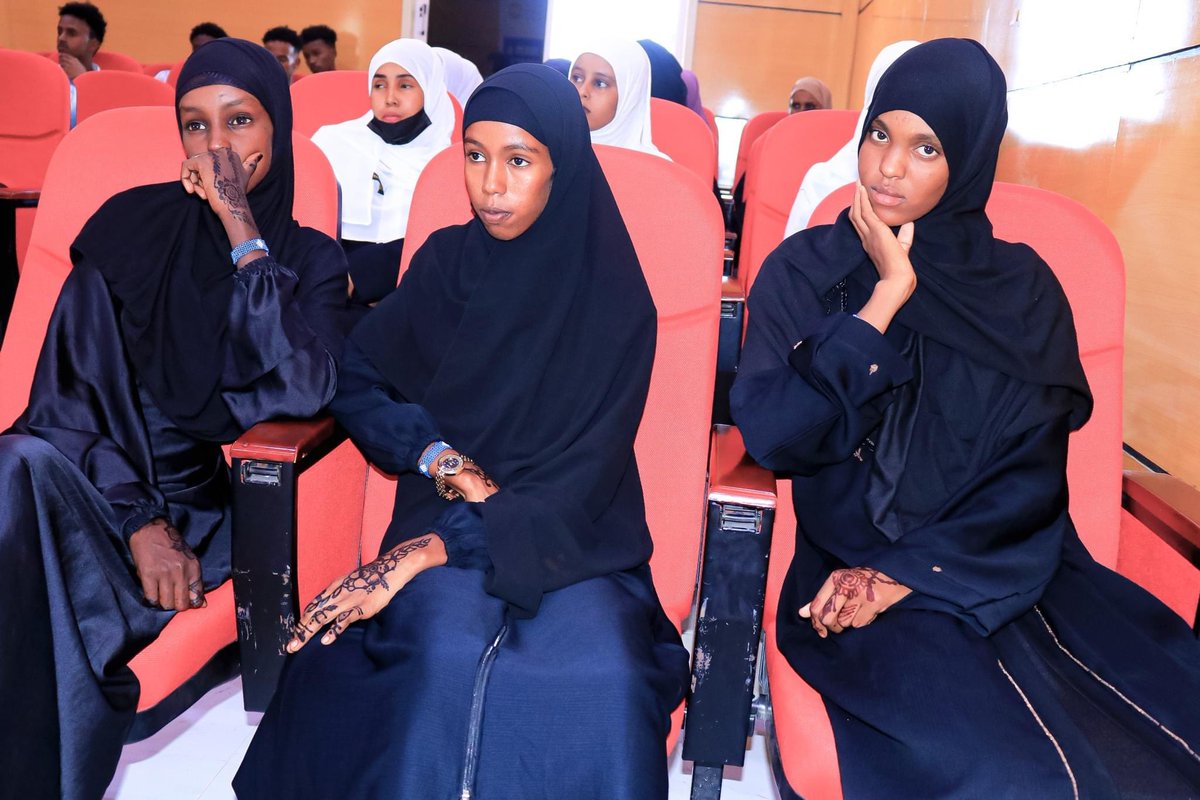 Y-PEER Somalia tweet media