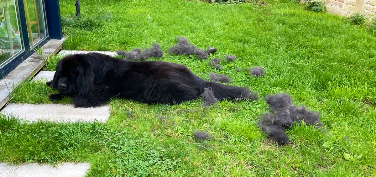 ✨Kipithrill✨ tweet media