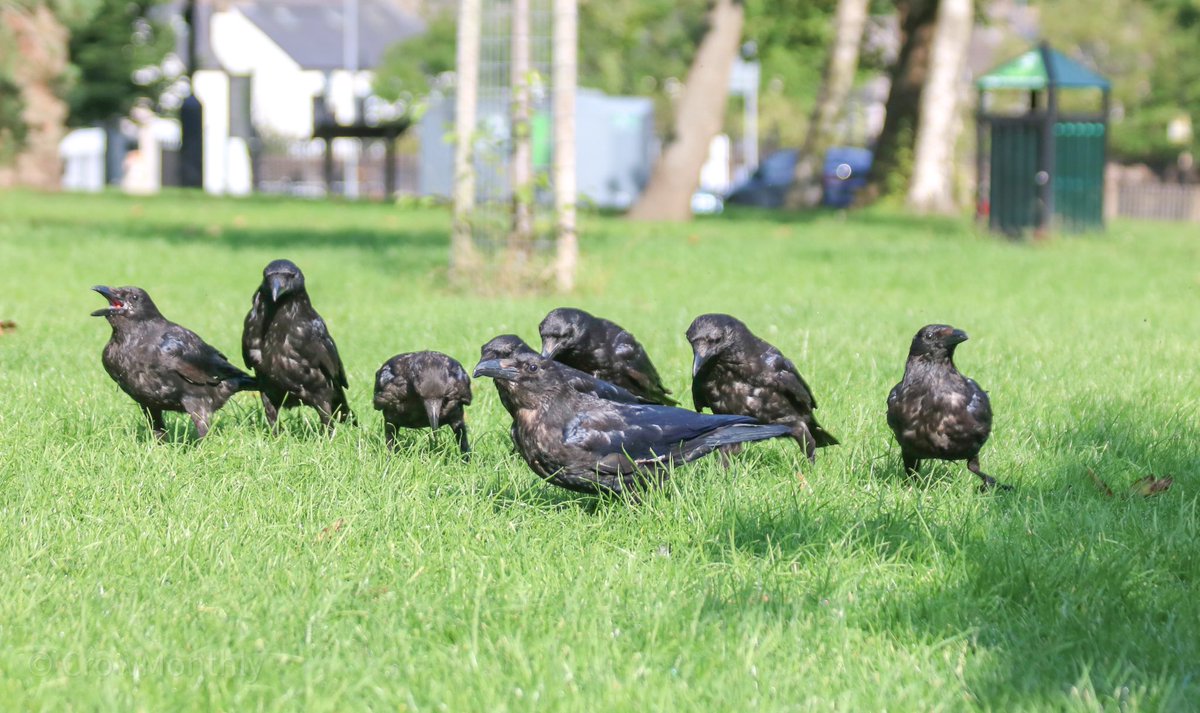 “Come on everyone, we’ve still got three songs and two dances to learn and we open tonight.”