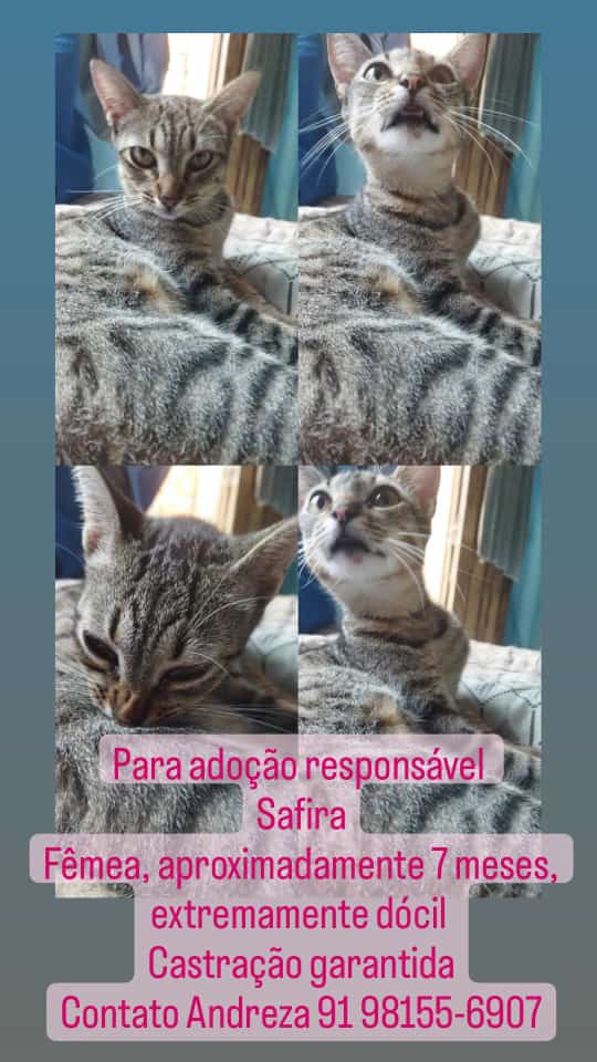 Expedit49825762's tweet photo. https://t.co/7lNbJ16tJt