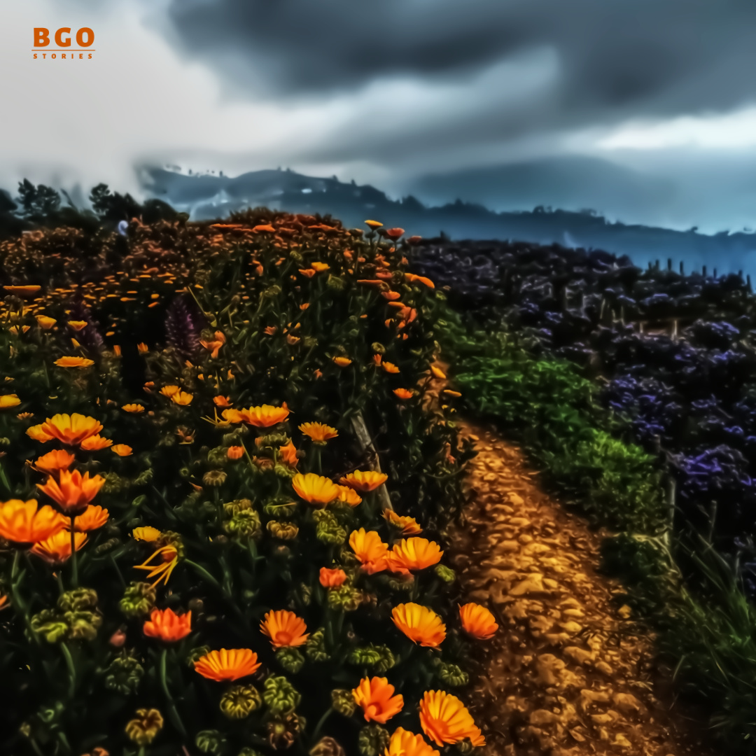 bgostories's tweet photo. Atok in Benguet was just another veggie town near Baguio.

But the social media found out about this flower farm and local life was never the same again.

#northernBlossomFlowerFarm
#atokBenguet #beyondBaguio https://t.co/Z4n74dwC0J