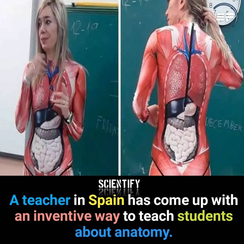 ScientifyFacts's tweet photo. #facts #teacher #scientify #class #anatomy https://t.co/GPiq47yZI9