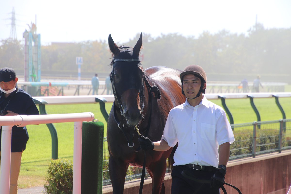 SILKHCofficial's tweet photo. 【今日の1枚】@新潟競馬場

暑い新潟で熱い走りで勝利を掴んだ #アヴェラーレ と #オールマイデイズ 。

アヴェラーレは初めての重賞タイトルの獲得、
オールマイデイズはダートに矛先を向けての快勝と、
2頭とも今後に向けて視界が広がる嬉しい勝利となりました🐎

#silkhc
#新潟競馬場 https://t.co/tBJKgI6RHO